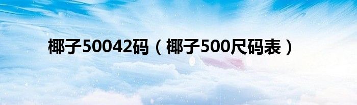 椰子50042碼（椰子500尺碼表）