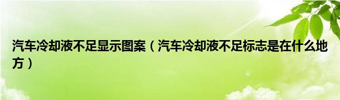 汽車?yán)鋮s液不足顯示圖案（汽車?yán)鋮s液不足標(biāo)志是在什么地方）