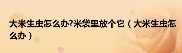 大米生蟲(chóng)怎么辦?米袋里放個(gè)它（大米生蟲(chóng)怎么辦）
