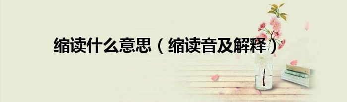 縮讀什么意思（縮讀音及解釋）