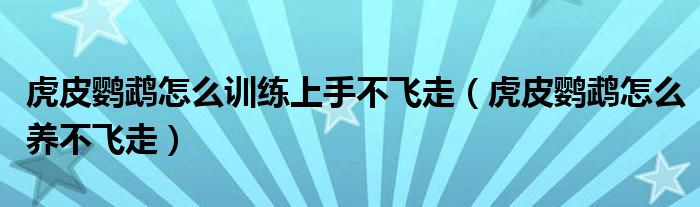 虎皮鸚鵡怎么訓(xùn)練上手不飛走（虎皮鸚鵡怎么養(yǎng)不飛走）
