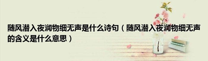 隨風(fēng)潛入夜?jié)櫸锛?xì)無(wú)聲是什么詩(shī)句（隨風(fēng)潛入夜?jié)櫸锛?xì)無(wú)聲的含義是什么意思）