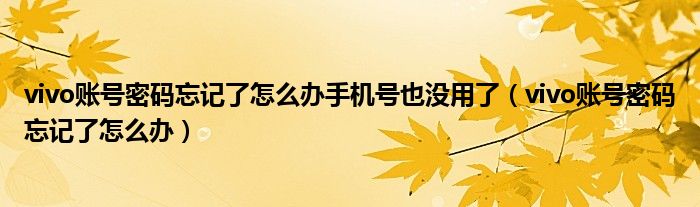 vivo賬號(hào)密碼忘記了怎么辦手機(jī)號(hào)也沒用了（vivo賬號(hào)密碼忘記了怎么辦）
