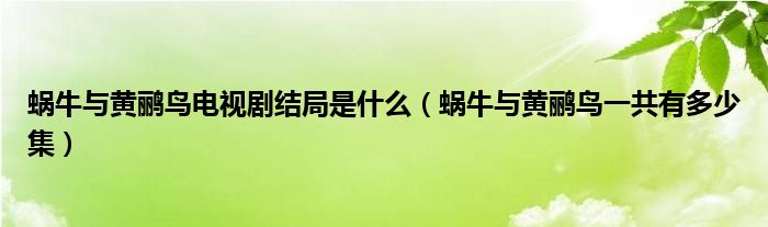蝸牛與黃鸝鳥(niǎo)電視劇結(jié)局是什么（蝸牛與黃鸝鳥(niǎo)一共有多少集）