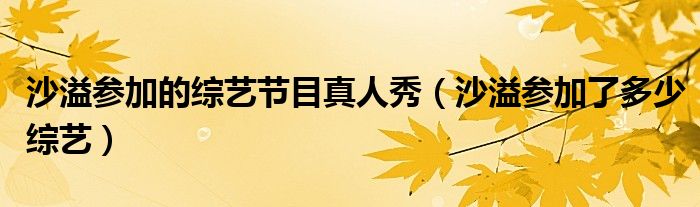 沙溢參加的綜藝節(jié)目真人秀（沙溢參加了多少綜藝）