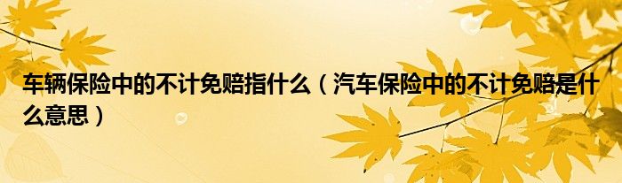 車輛保險(xiǎn)中的不計(jì)免賠指什么（汽車保險(xiǎn)中的不計(jì)免賠是什么意思）