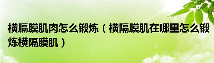 橫膈膜肌肉怎么鍛煉（橫隔膜肌在哪里怎么鍛煉橫隔膜?。? />
                                         </a>
                                    </div>
                                 <div   id=