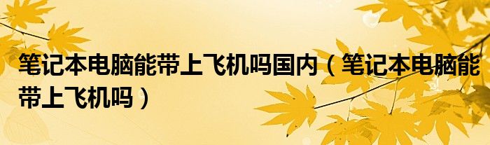 筆記本電腦能帶上飛機(jī)嗎國(guó)內(nèi)（筆記本電腦能帶上飛機(jī)嗎）