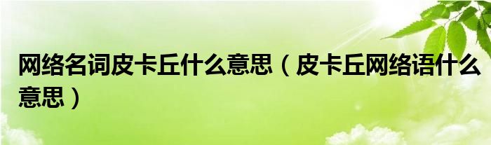 網(wǎng)絡(luò)名詞皮卡丘什么意思（皮卡丘網(wǎng)絡(luò)語什么意思）