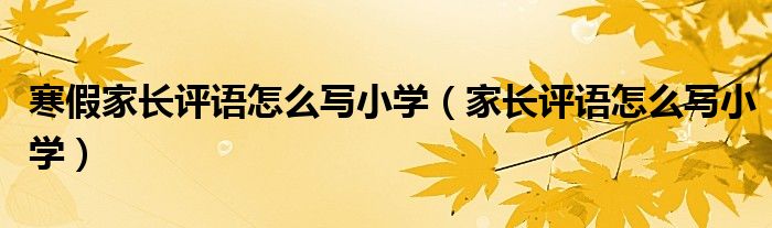 寒假家長評語怎么寫小學（家長評語怎么寫小學）