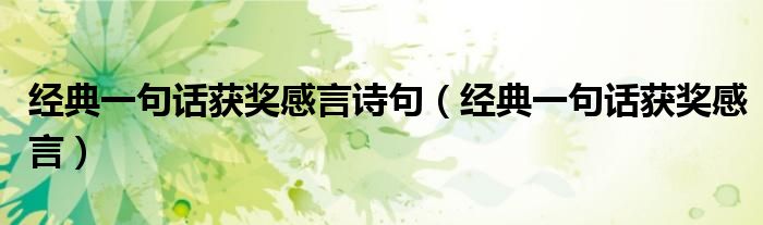 經(jīng)典一句話獲獎(jiǎng)感言詩(shī)句（經(jīng)典一句話獲獎(jiǎng)感言）