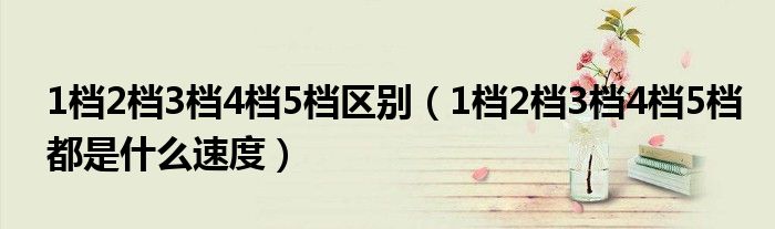 1檔2檔3檔4檔5檔區(qū)別（1檔2檔3檔4檔5檔都是什么速度）
