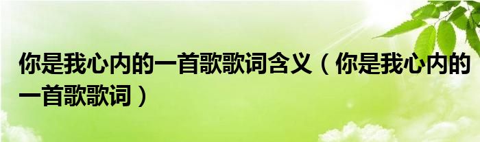 你是我心內(nèi)的一首歌歌詞含義（你是我心內(nèi)的一首歌歌詞）