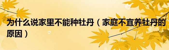 為什么說(shuō)家里不能種牡丹（家庭不宜養(yǎng)牡丹的原因）