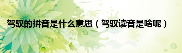 駕馭的拼音是什么意思（駕馭讀音是啥呢）