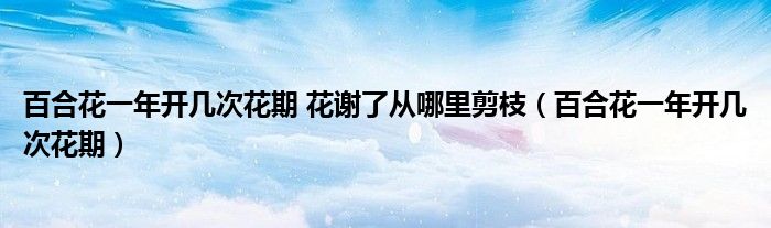 百合花一年開幾次花期 花謝了從哪里剪枝（百合花一年開幾次花期）