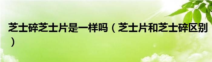 芝士碎芝士片是一樣嗎（芝士片和芝士碎區(qū)別）