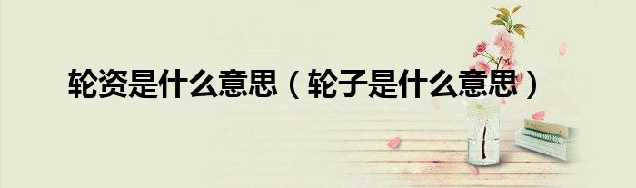 輪資是什么意思（輪子是什么意思）