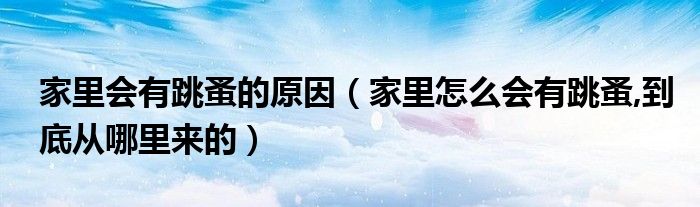 家里會有跳蚤的原因（家里怎么會有跳蚤,到底從哪里來的）