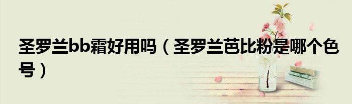 圣羅蘭bb霜好用嗎（圣羅蘭芭比粉是哪個(gè)色號(hào)）