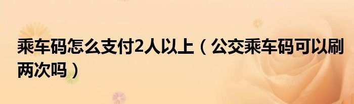 乘車(chē)碼怎么支付2人以上（公交乘車(chē)碼可以刷兩次嗎）