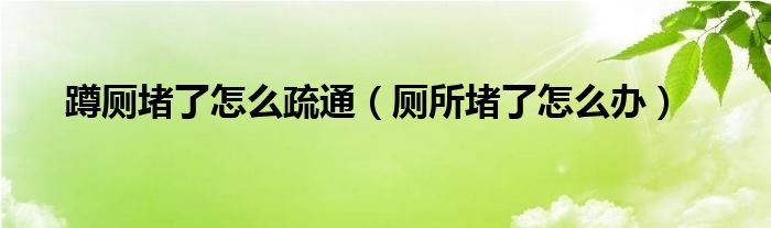 蹲廁堵了怎么疏通（廁所堵了怎么辦）