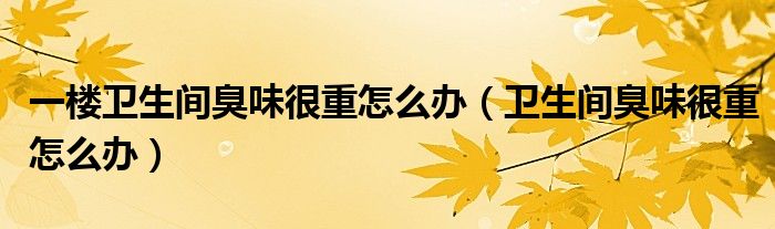 一樓衛(wèi)生間臭味很重怎么辦（衛(wèi)生間臭味很重怎么辦）
