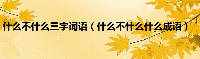 什么不什么三字詞語(yǔ)（什么不什么什么成語(yǔ)）