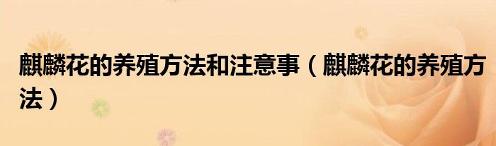 麒麟花的養(yǎng)殖方法和注意事（麒麟花的養(yǎng)殖方法）