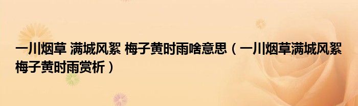 一川煙草 滿城風(fēng)絮 梅子黃時(shí)雨啥意思（一川煙草滿城風(fēng)絮梅子黃時(shí)雨賞析）