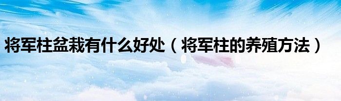 將軍柱盆栽有什么好處（將軍柱的養(yǎng)殖方法）