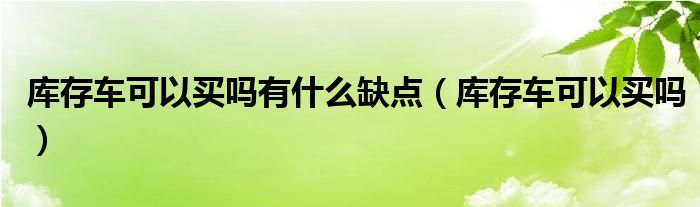 庫存車可以買嗎有什么缺點(diǎn)（庫存車可以買嗎）