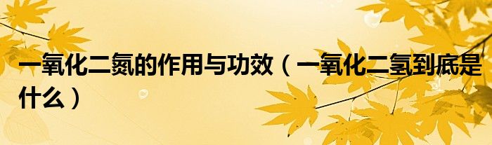 一氧化二氮的作用與功效（一氧化二氫到底是什么）
