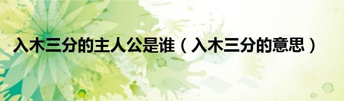入木三分的主人公是誰（入木三分的意思）