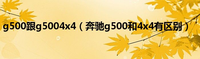 g500跟g5004x4（奔馳g500和4x4有區(qū)別）