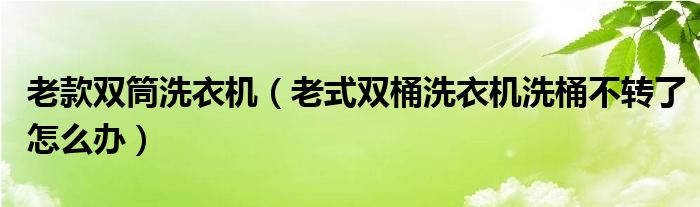 老款雙筒洗衣機（老式雙桶洗衣機洗桶不轉(zhuǎn)了怎么辦）