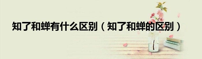 知了和蟬有什么區(qū)別（知了和蟬的區(qū)別）
