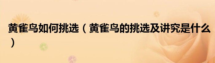 黃雀鳥如何挑選（黃雀鳥的挑選及講究是什么）