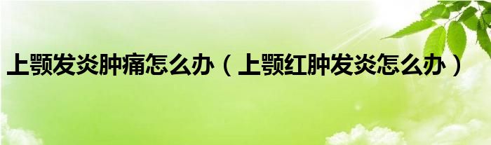 上顎發(fā)炎腫痛怎么辦（上顎紅腫發(fā)炎怎么辦）
