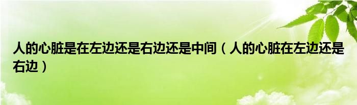 人的心臟是在左邊還是右邊還是中間（人的心臟在左邊還是右邊）