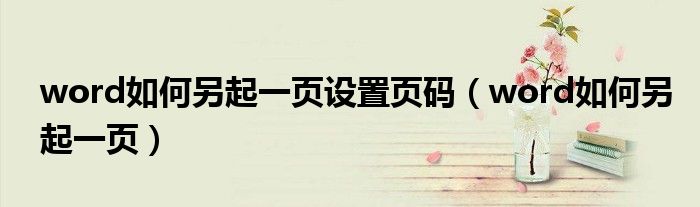 word如何另起一頁設置頁碼（word如何另起一頁）