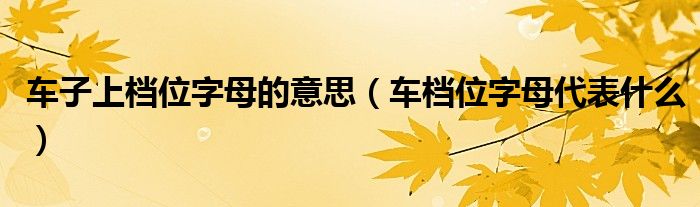 車子上檔位字母的意思（車檔位字母代表什么）