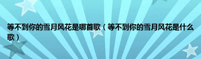 等不到你的雪月風(fēng)花是哪首歌（等不到你的雪月風(fēng)花是什么歌）