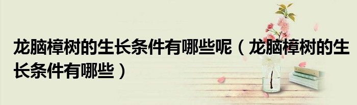 龍腦樟樹(shù)的生長(zhǎng)條件有哪些呢（龍腦樟樹(shù)的生長(zhǎng)條件有哪些）