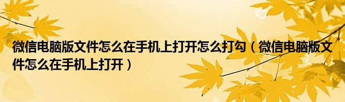 微信電腦版文件怎么在手機上打開怎么打勾（微信電腦版文件怎么在手機上打開）