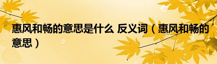 惠風(fēng)和暢的意思是什么 反義詞（惠風(fēng)和暢的意思）
