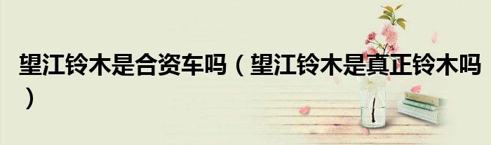 望江鈴木是合資車嗎（望江鈴木是真正鈴木嗎）