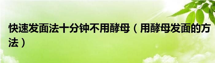 快速發(fā)面法十分鐘不用酵母（用酵母發(fā)面的方法）