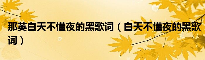那英白天不懂夜的黑歌詞（白天不懂夜的黑歌詞）