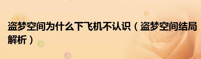 盜夢(mèng)空間為什么下飛機(jī)不認(rèn)識(shí)（盜夢(mèng)空間結(jié)局解析）
